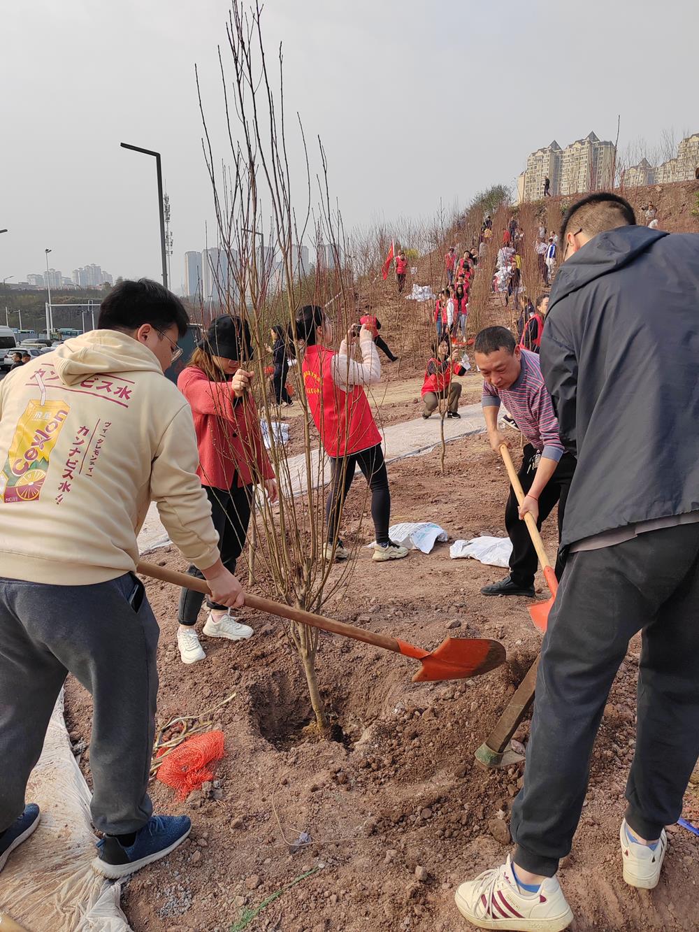 四川省泸州生态環境監測中心站開展義務植樹活動